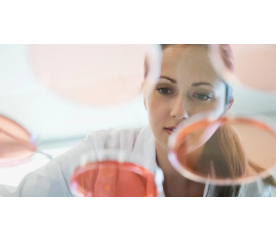 NAD+ Promotes Stem Cell Renewal and Regenerates Mitochondria